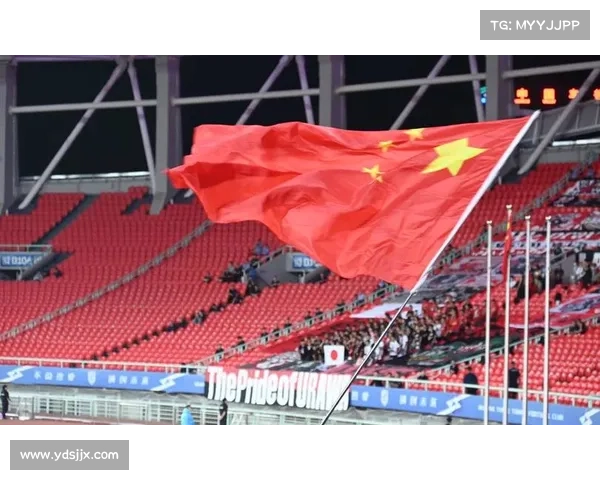 深入揭秘浦和红钻长期称霸亚冠背后的体系化打造与成功密码全景解析