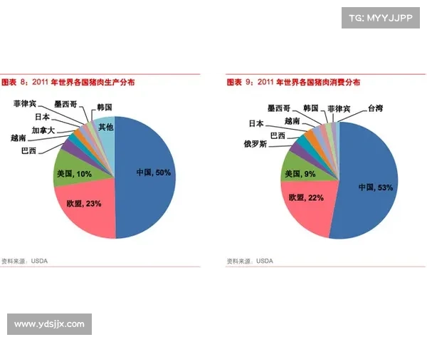 抓住欧洲杯投资机会深度解析与策略全面指导