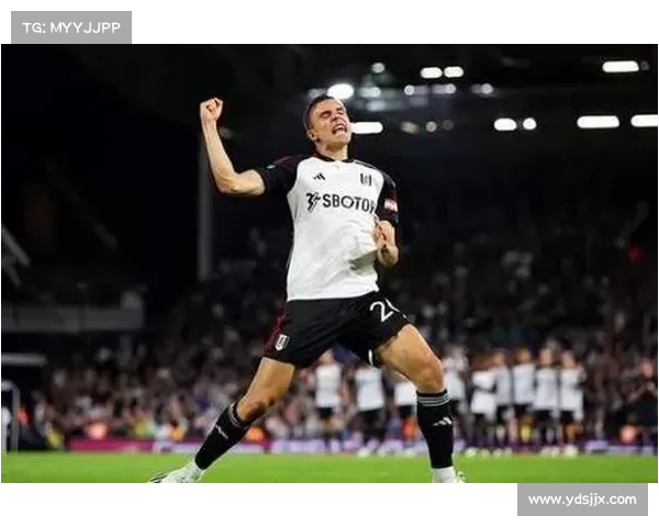 拜仁冬窗转会帕利尼亚双向奔赴深度解析及其背后战略考量